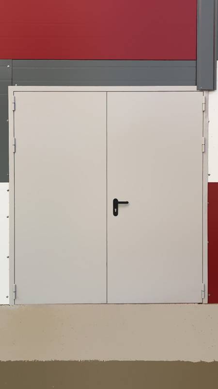 Двупольная дверь (р-н Митино, ул. Барышиха, д.49)